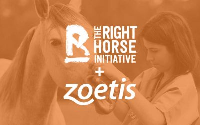 Zoetis Announce Educational Partnership