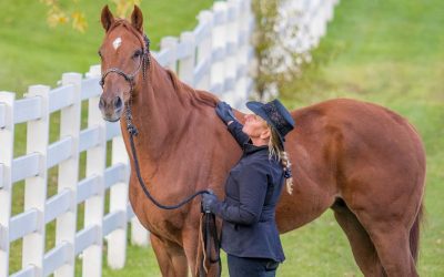 The Right Horse Initiative Awards Grant to Horses Without Humans