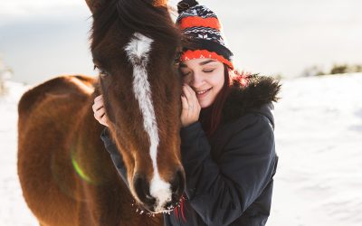 Global Federation of Animal Sanctuaries Receives The Right Horse Initiative Grant for Equine Rescue and Sanctuary Accreditation Program