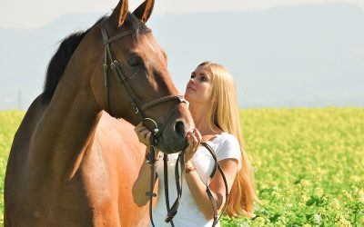 The Right Horse Initiative awards $30,000 to train adoptable horses