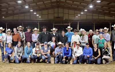 21 Horses Adopted at the Third Annual Appalachian Trainer Face Off