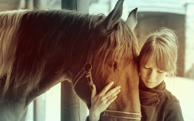The Myth of the Unadoptable Horse