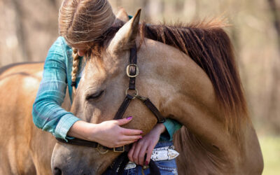 Texas 4-H Youth on a Mission to Help Horses in Transition